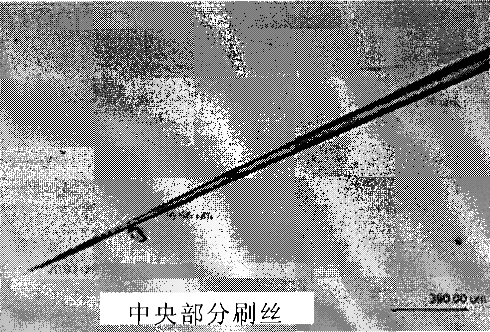 Pointed brush thread made from recyclable organism-based raw material and preparation method