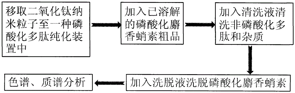 A kind of purification method of phosphorylated muscarin