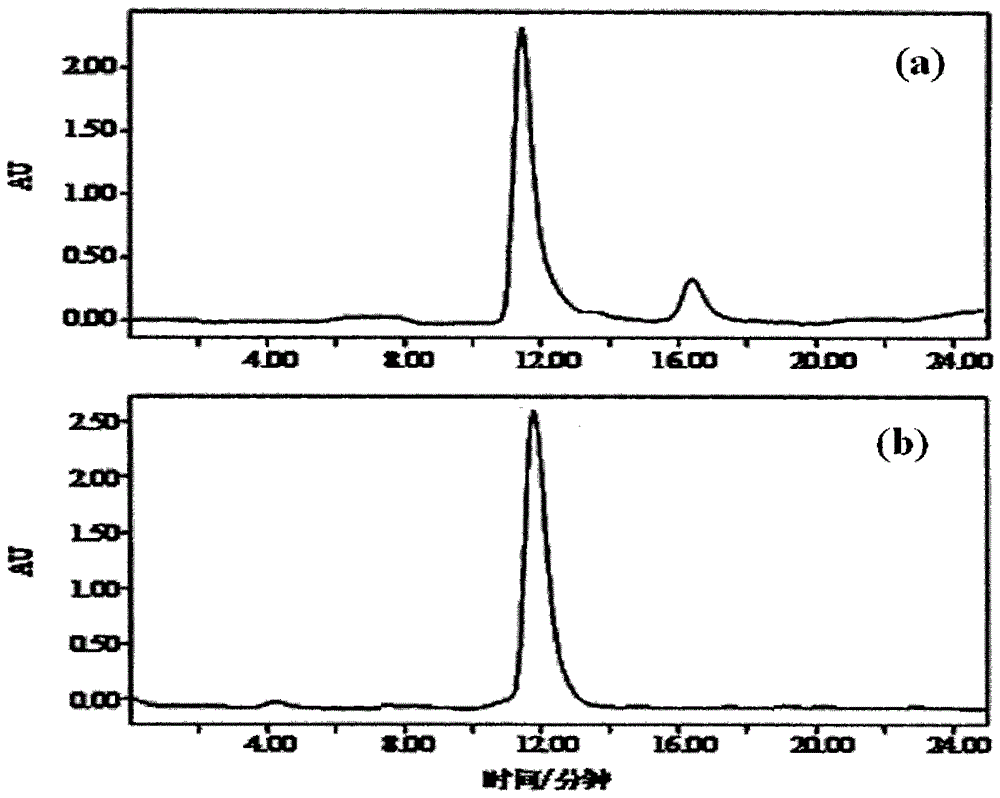 A kind of purification method of phosphorylated muscarin