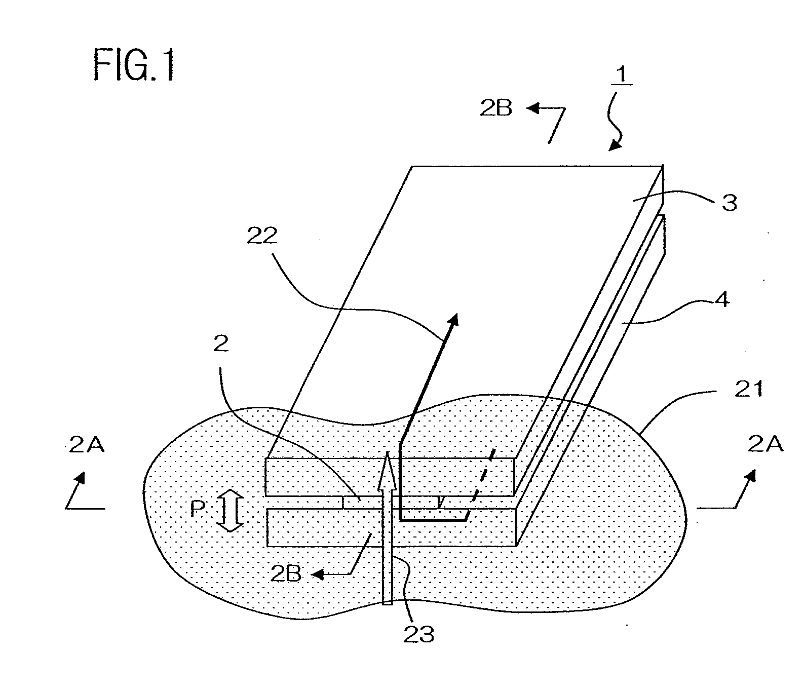 Cpp magneto-resistive element provided with a pair of magnetic layers and nicr buffer layer