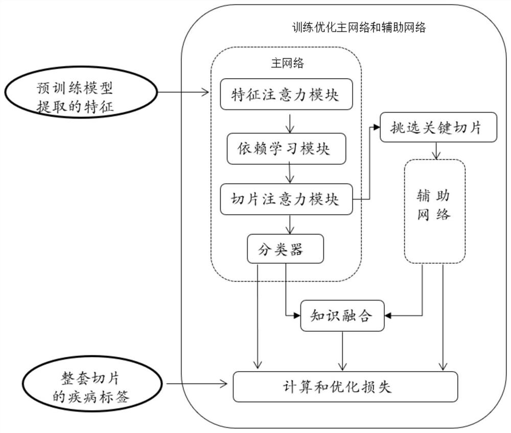 Brain medical image report generation method and system based on sequence level