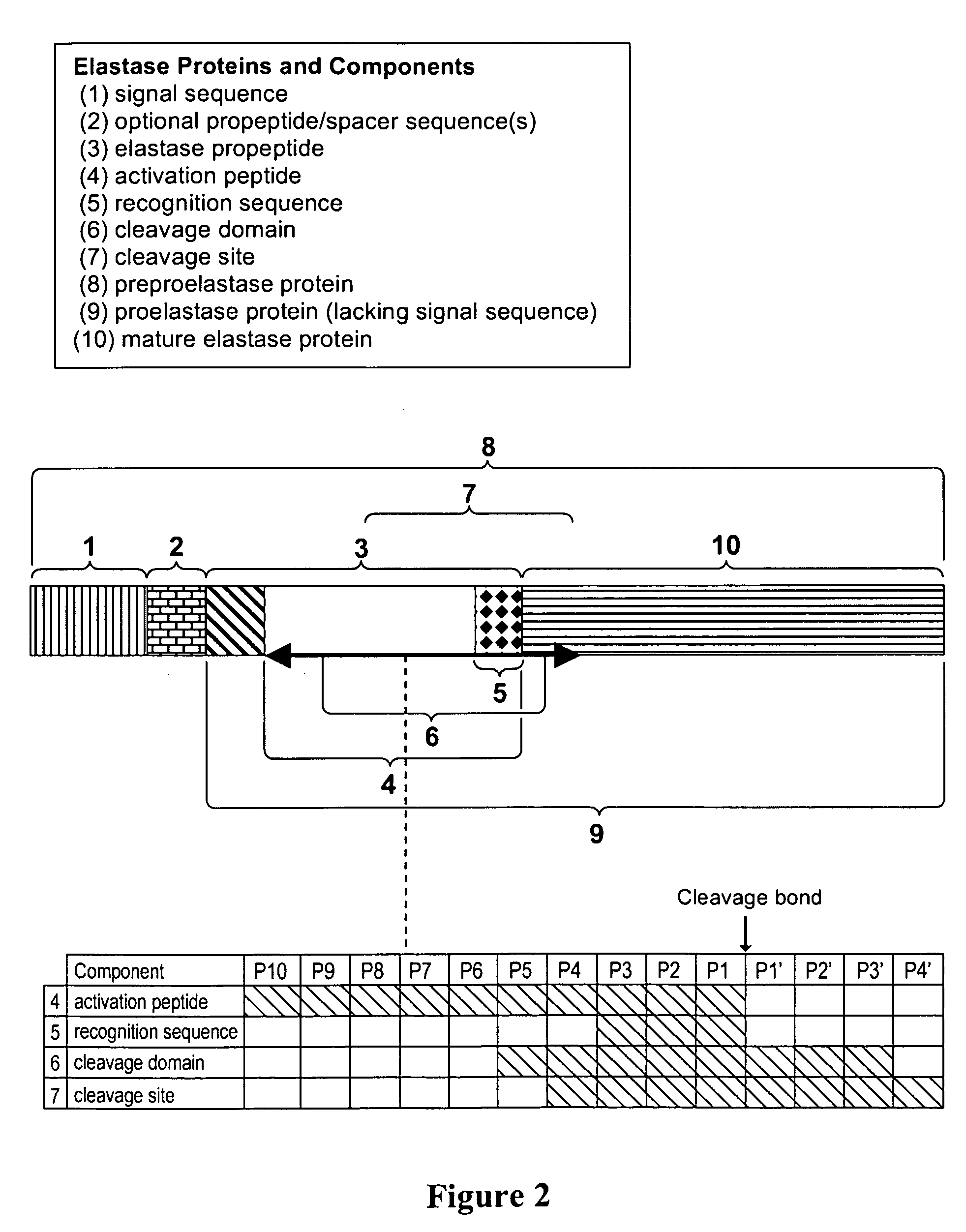 Recombinant elastase proteins and methods of manufacturing and use thereof