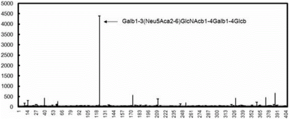 Marker of human endometrial cancer, antibody and application of antibody