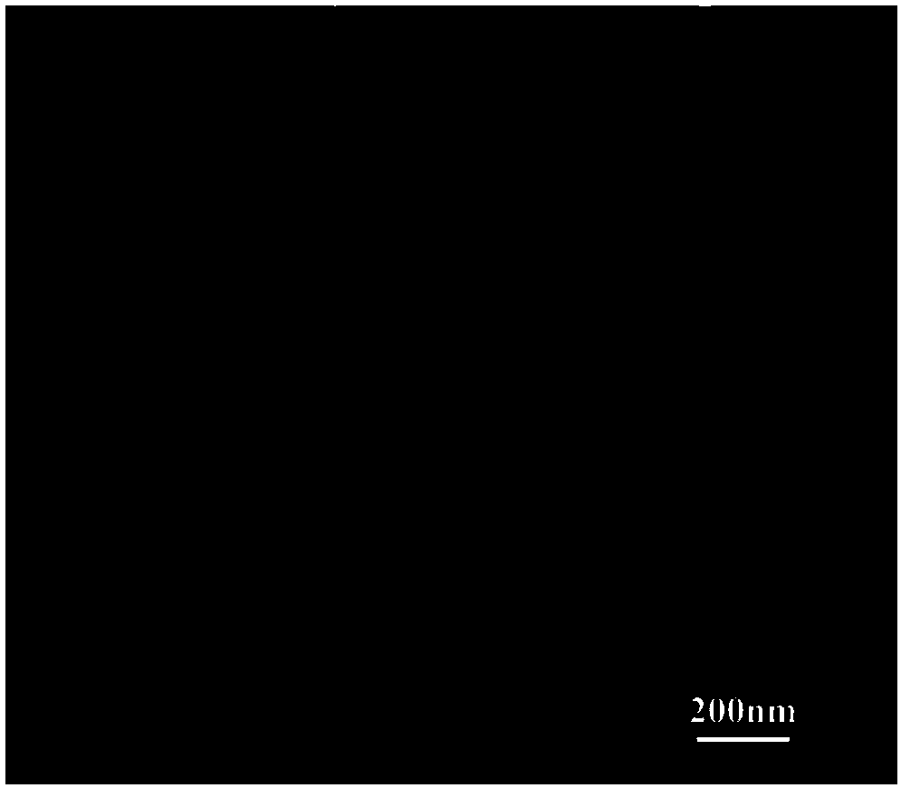 A kind of preparation method of conductive photonic crystal hydrogel