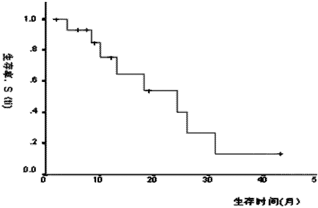 Client survival rate analysis device and analysis method based on client group partitioning