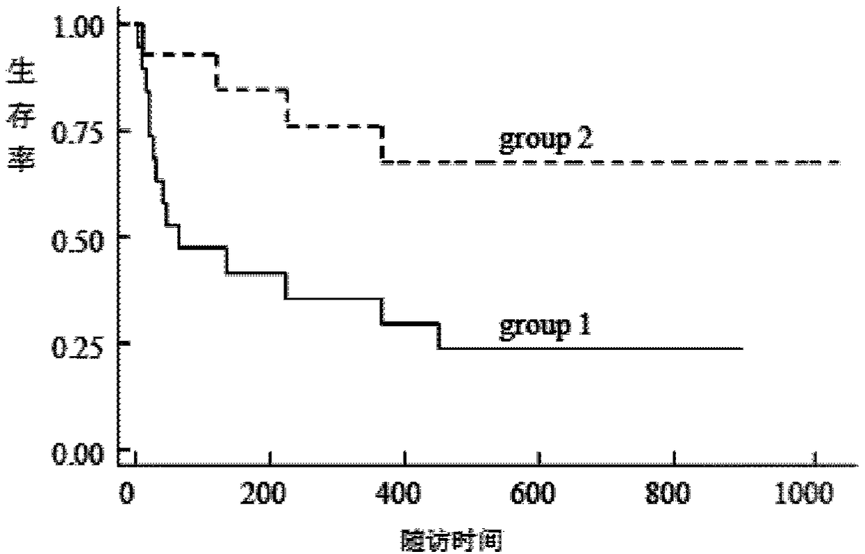 Client survival rate analysis device and analysis method based on client group partitioning