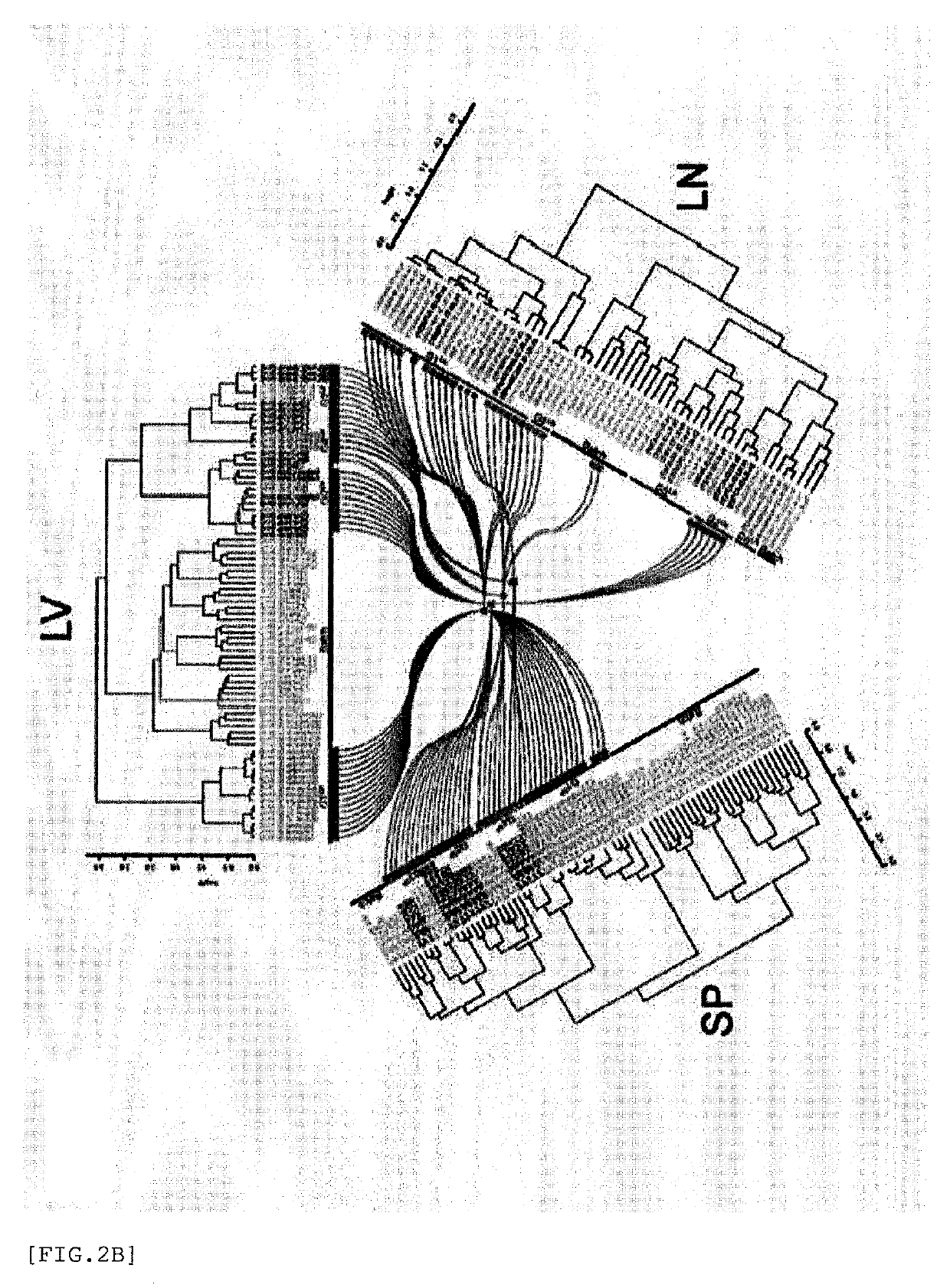 Characteristic analysis method and classification of pharmaceutical components by using transcriptomes