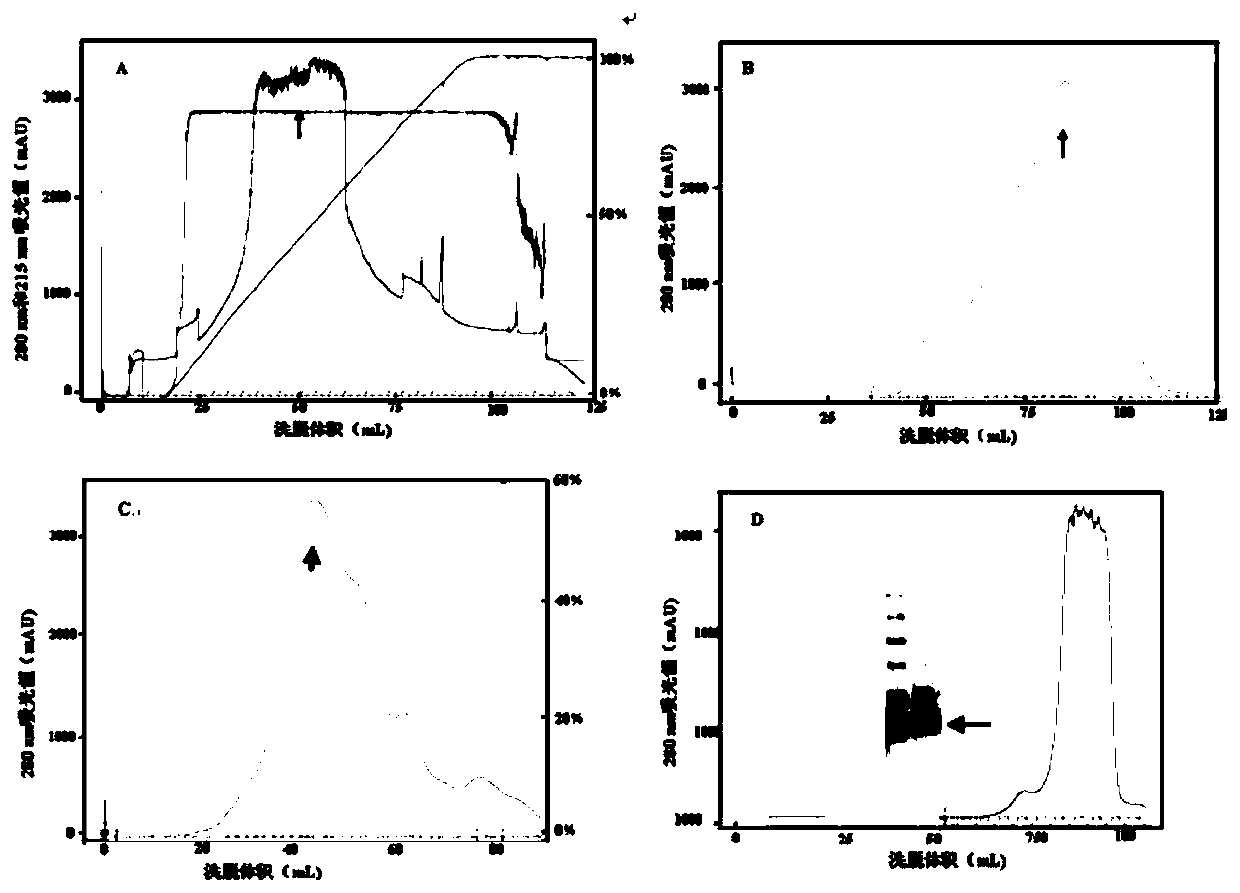 Polypeptides and their genes and applications