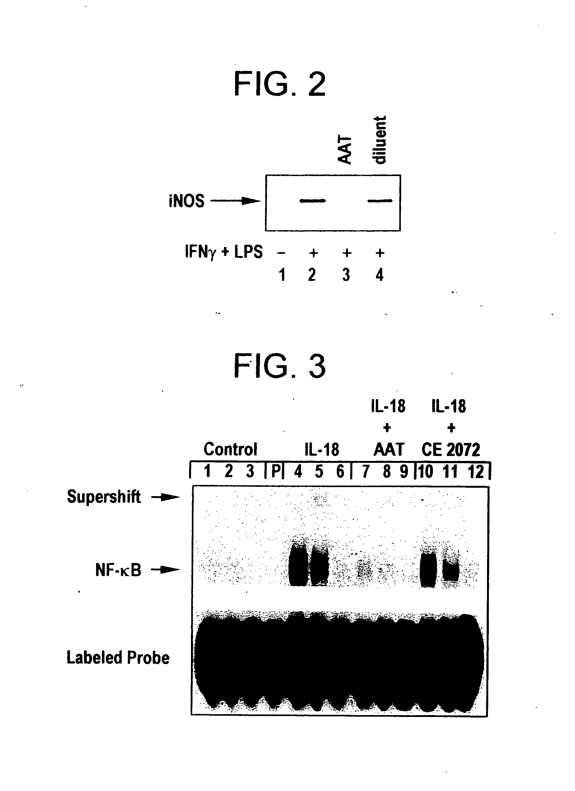 Inhibitors of serine protease activity methods and compositions for treatment of nitric oxide-induced clinical conditions