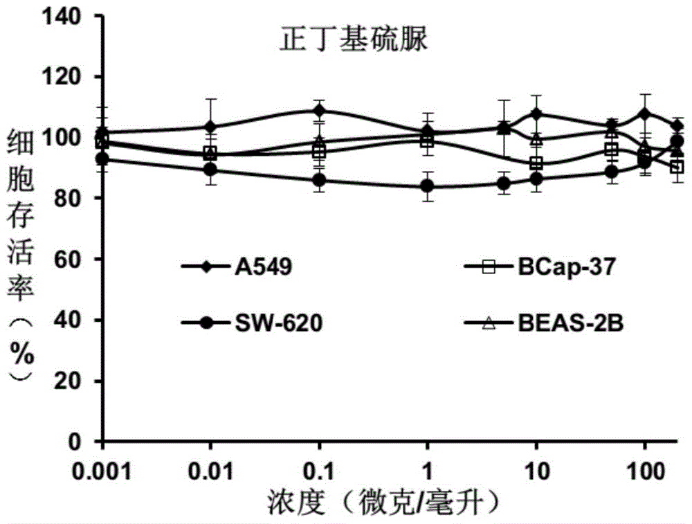 Application of thiourea molecule in preparation of antitumor drugs