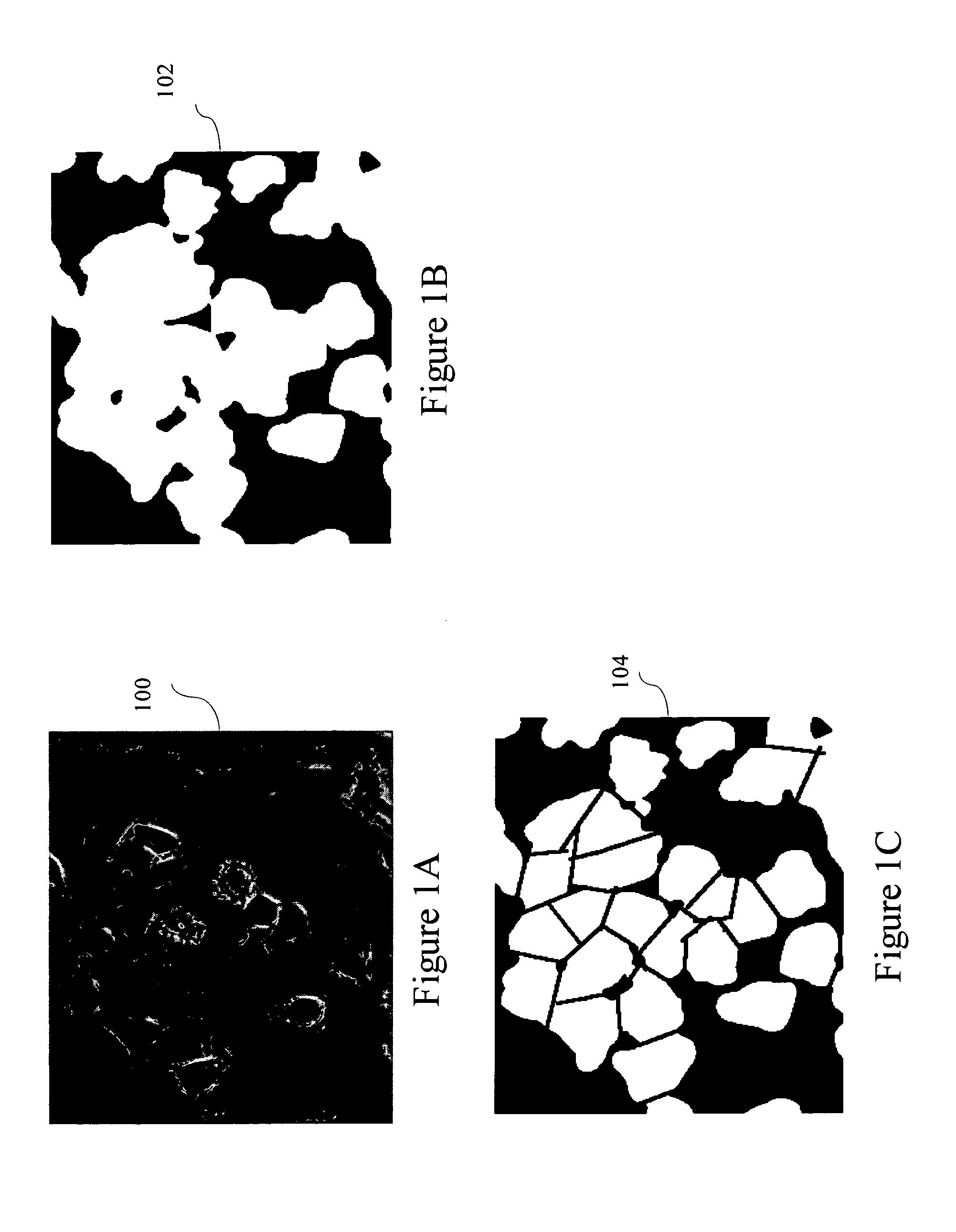 Teachable object contour mapping for biology image region partition