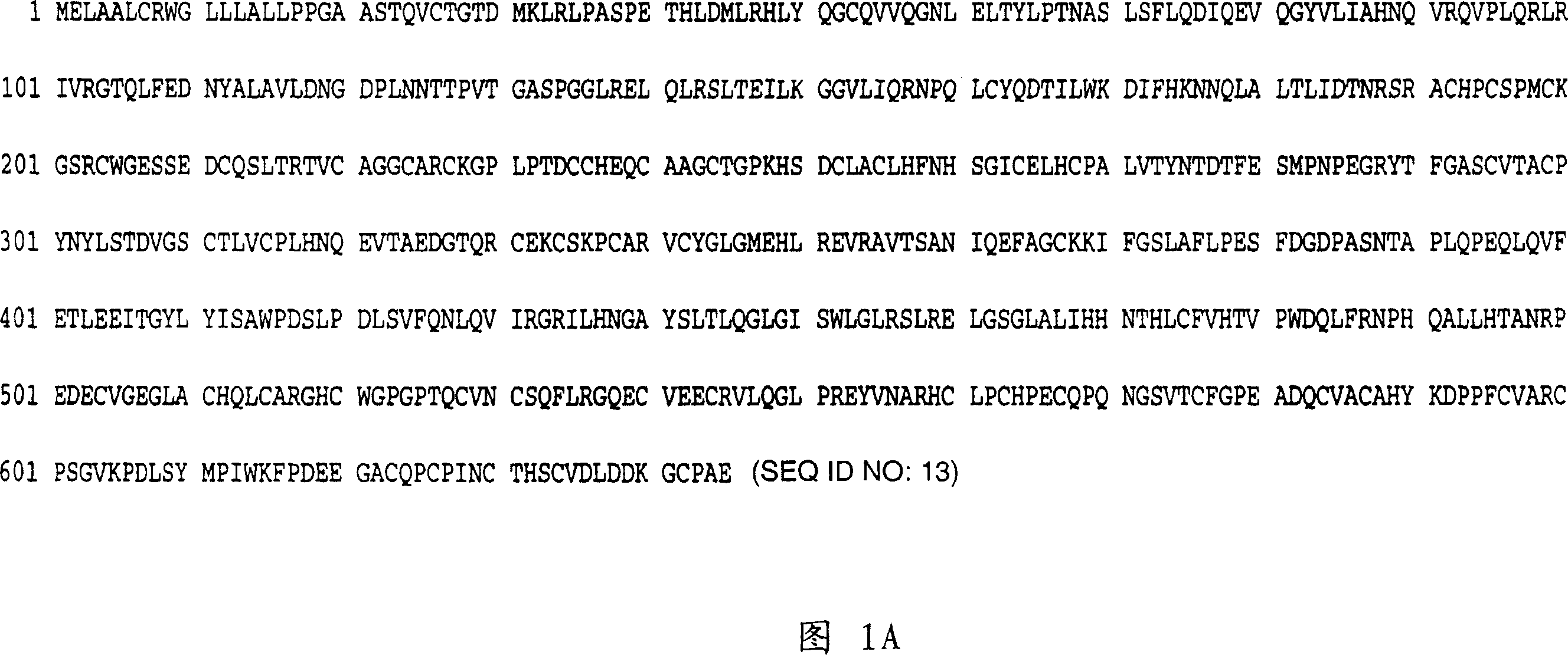 Humanized anti-ErbB2 antibodies and treatment with anti-ErbB2 antibodies