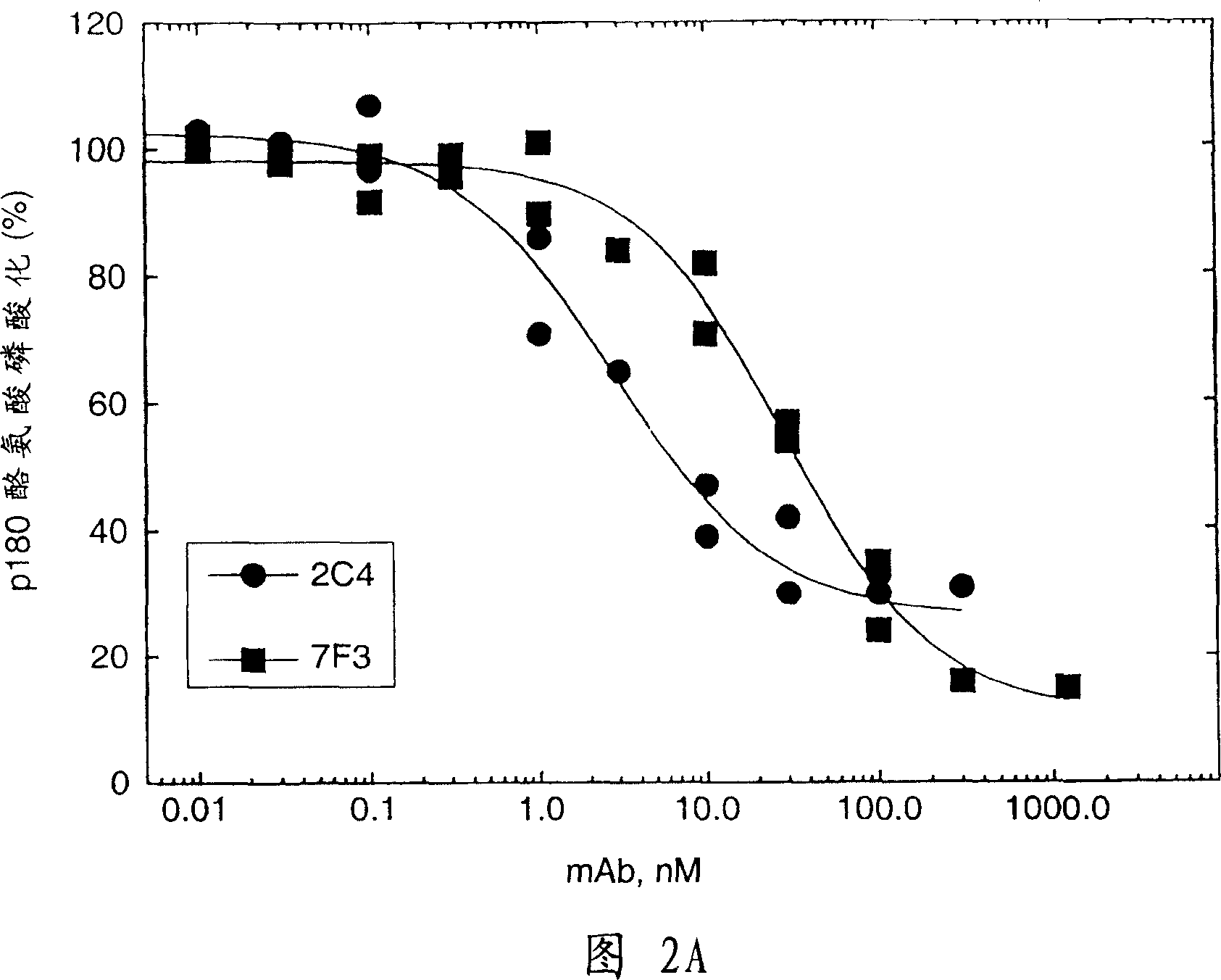 Humanized anti-ErbB2 antibodies and treatment with anti-ErbB2 antibodies