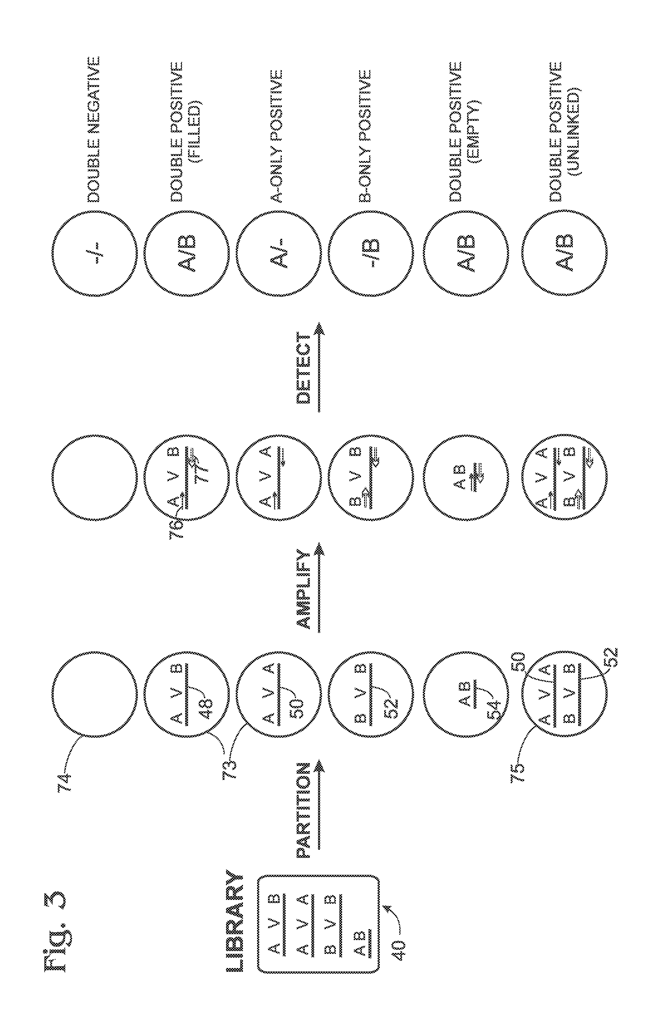 Library characterization by digital assay