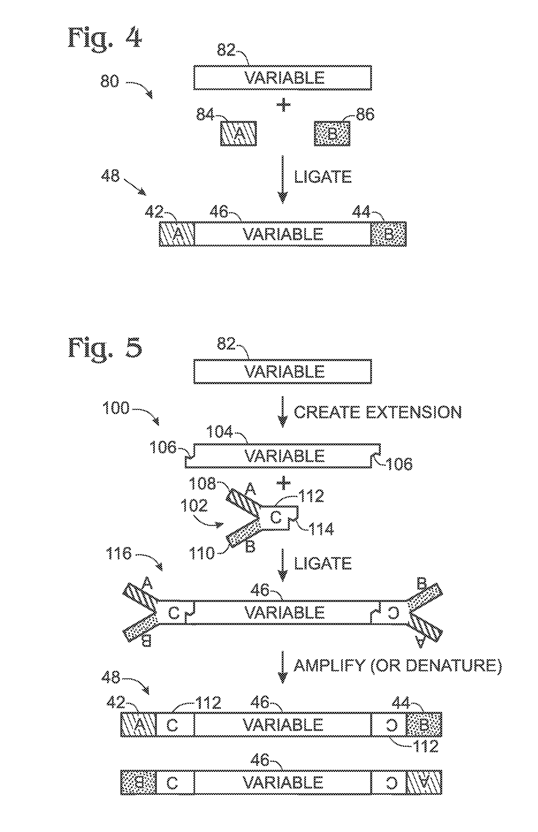 Library characterization by digital assay