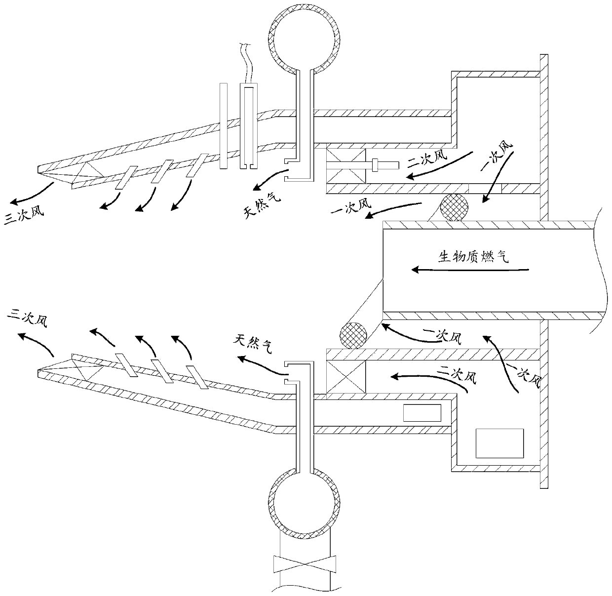 Dual-purpose combustor for biomass gas and natural gas