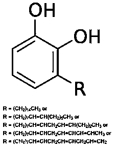 Urushiol resin for three-dimensional printing and preparation method thereof