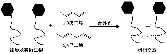 Urushiol resin for three-dimensional printing and preparation method thereof