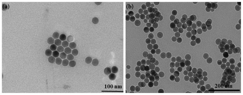 Up-conversion luminescence immunochromatographic test strip for quantitative detection of O-type foot-and-mouth disease virus antibody and preparation method thereof