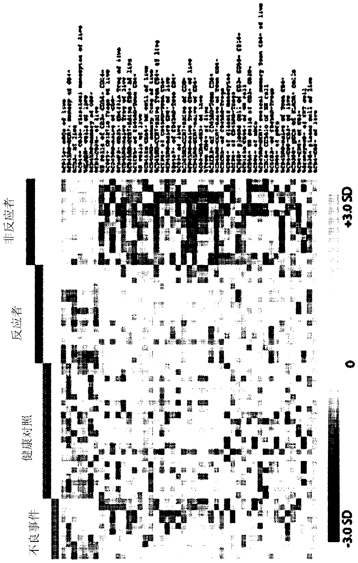 Predicting responses to immunotherapy