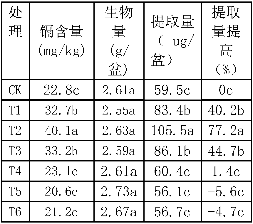 Strengthened repairing agent using hyper accumulator Solanum nigrum L, and method for repairing heavy metal polluted soil by using strengthened repairing agent