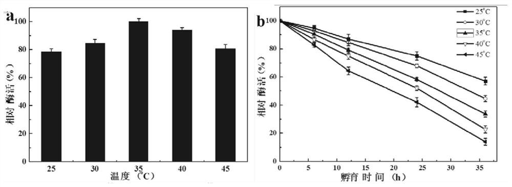 A carbonyl reductase mutant mut-accr (e144a/g152l) and its application and coding gene