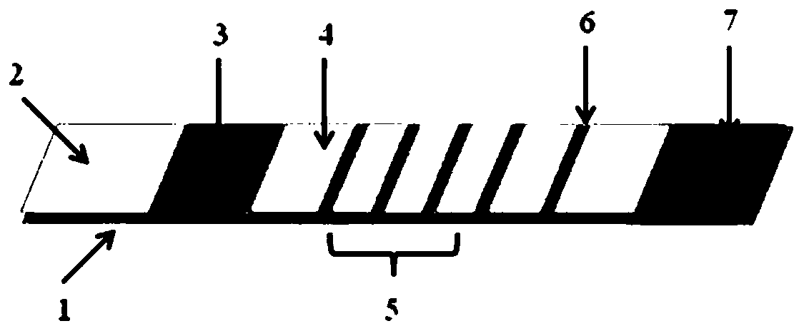 Fluorescence detection test strip for simultaneously detecting four types of pathogenic bacteria, and preparation method and application thereof