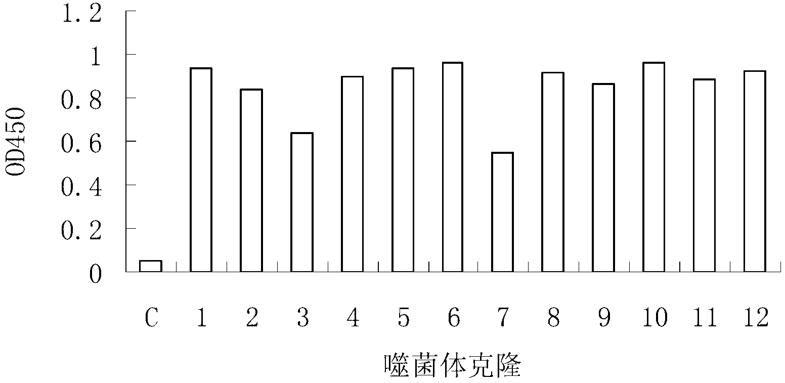 Epitope for sicca syndrome and application thereof