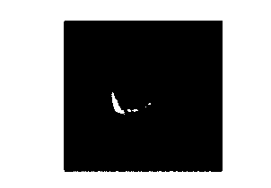 Method for quickly separating germ cells of angiosperms