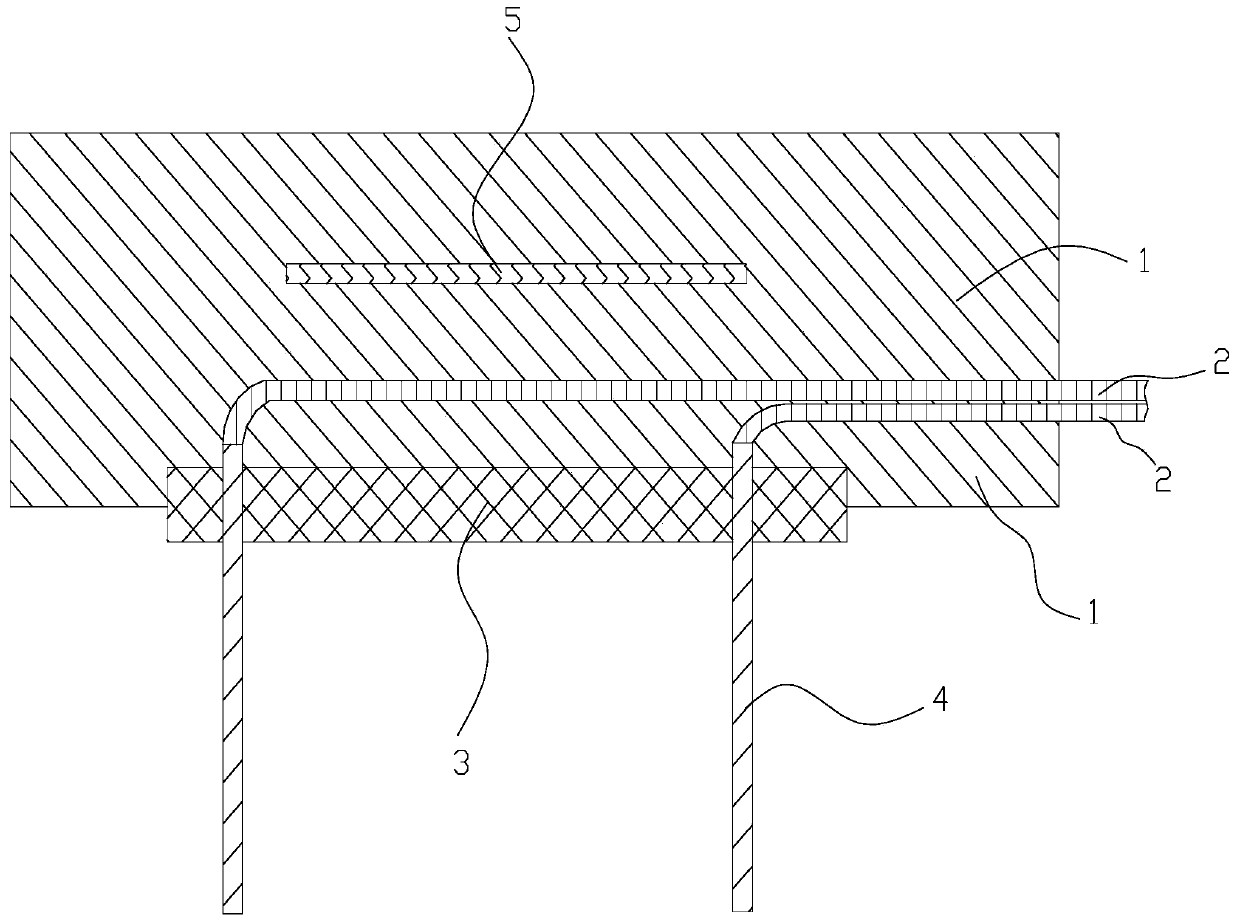 Plug with induction chip