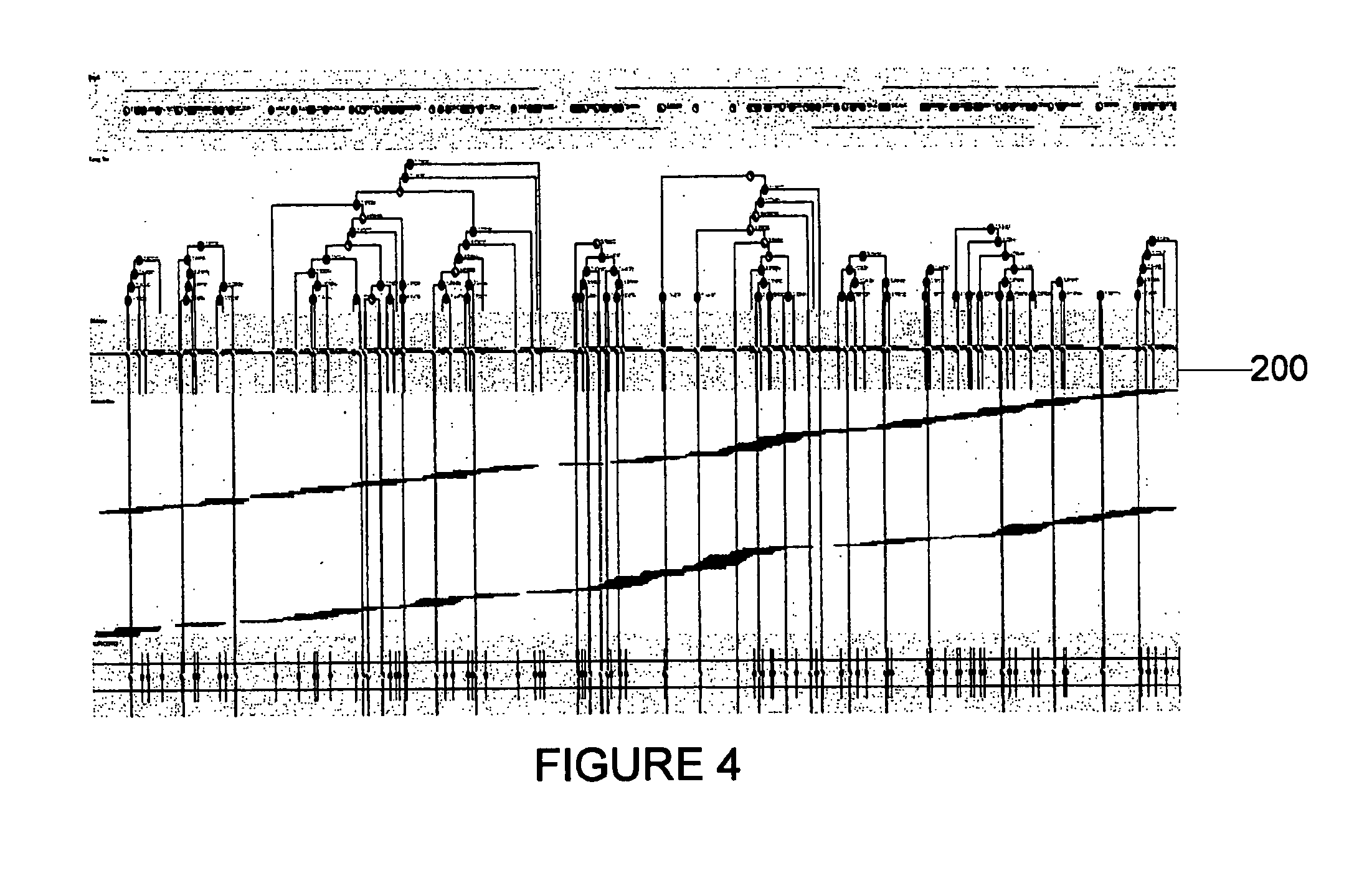 System, method and software arrangement for bi-allele haplotype phasing