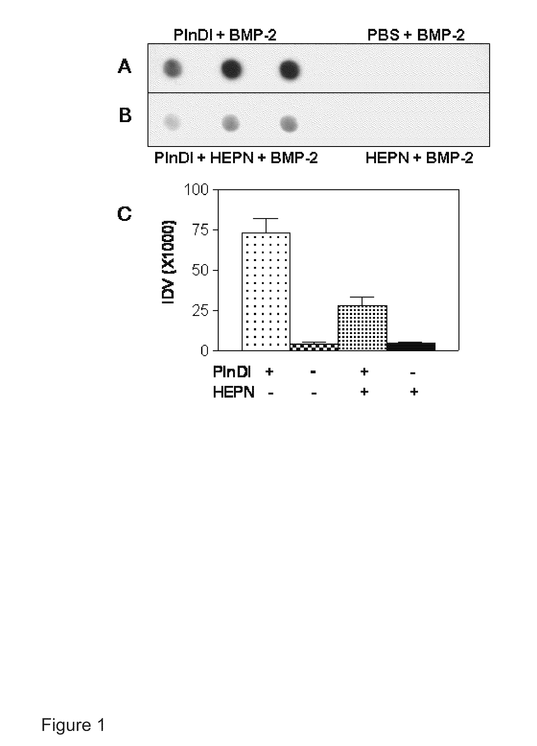 Compositions and methods for repair of tissues