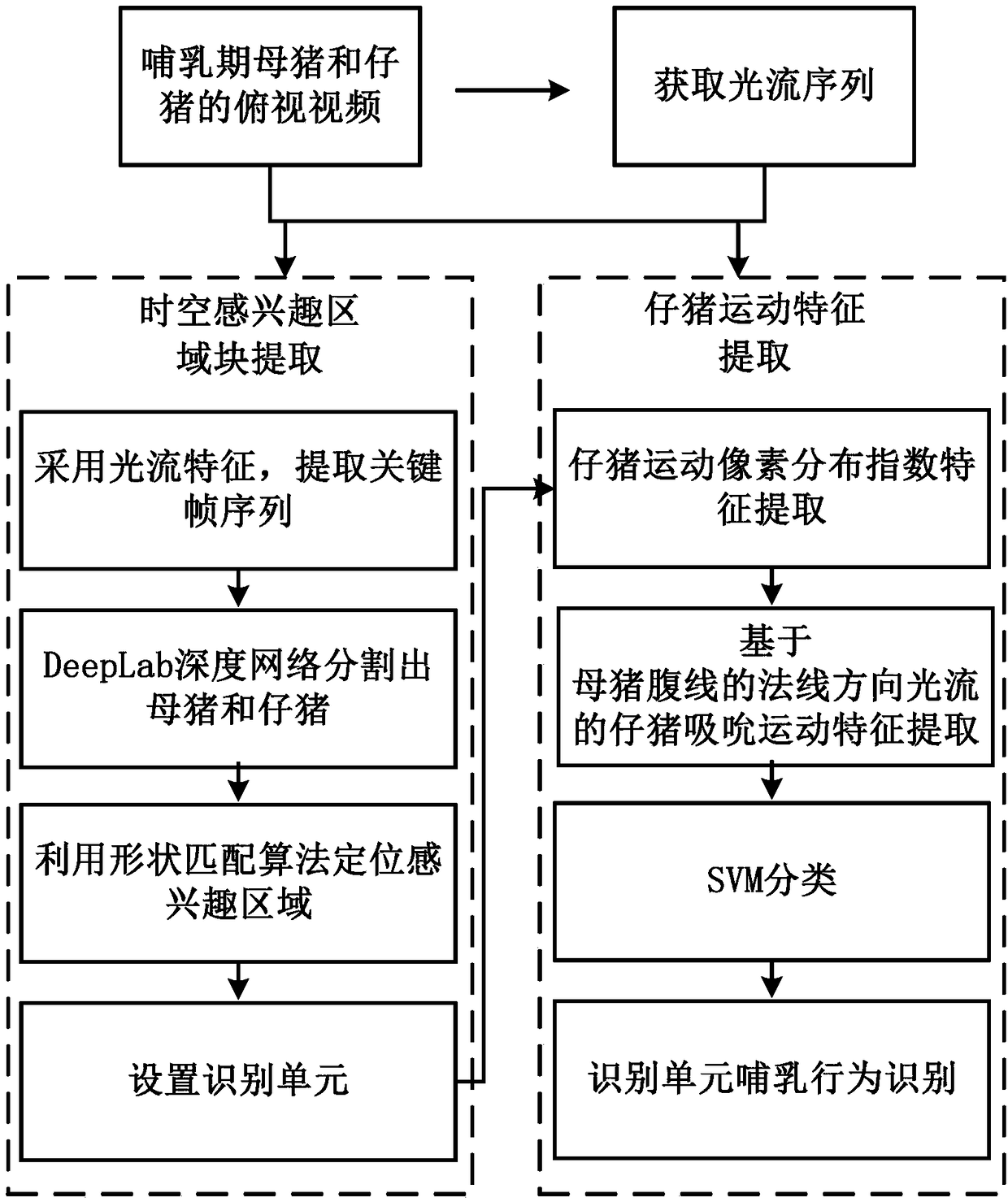 Sow lactation behavior recognition method based on computer vision