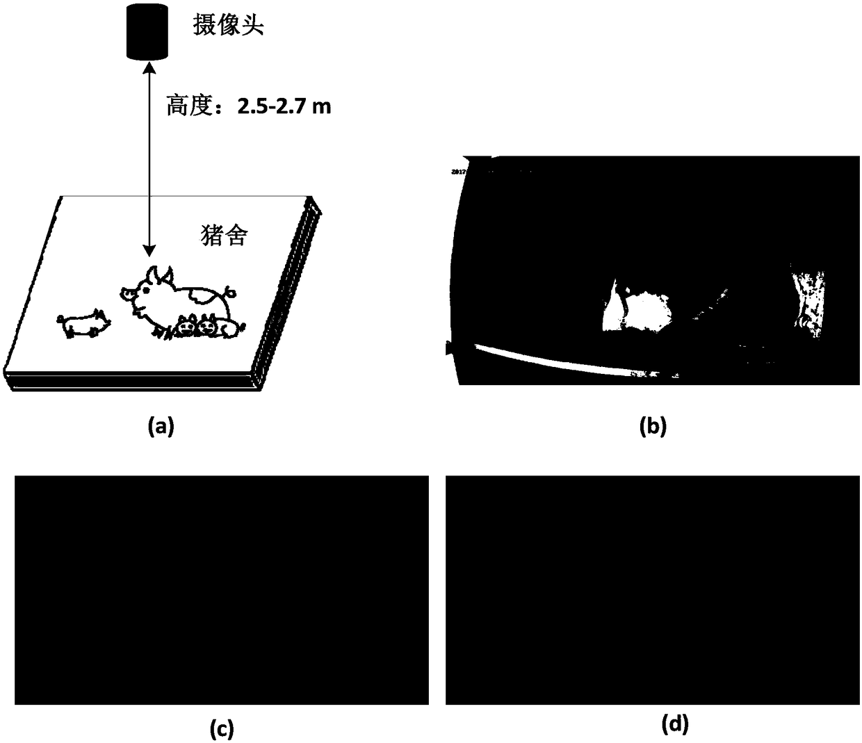 Sow lactation behavior recognition method based on computer vision