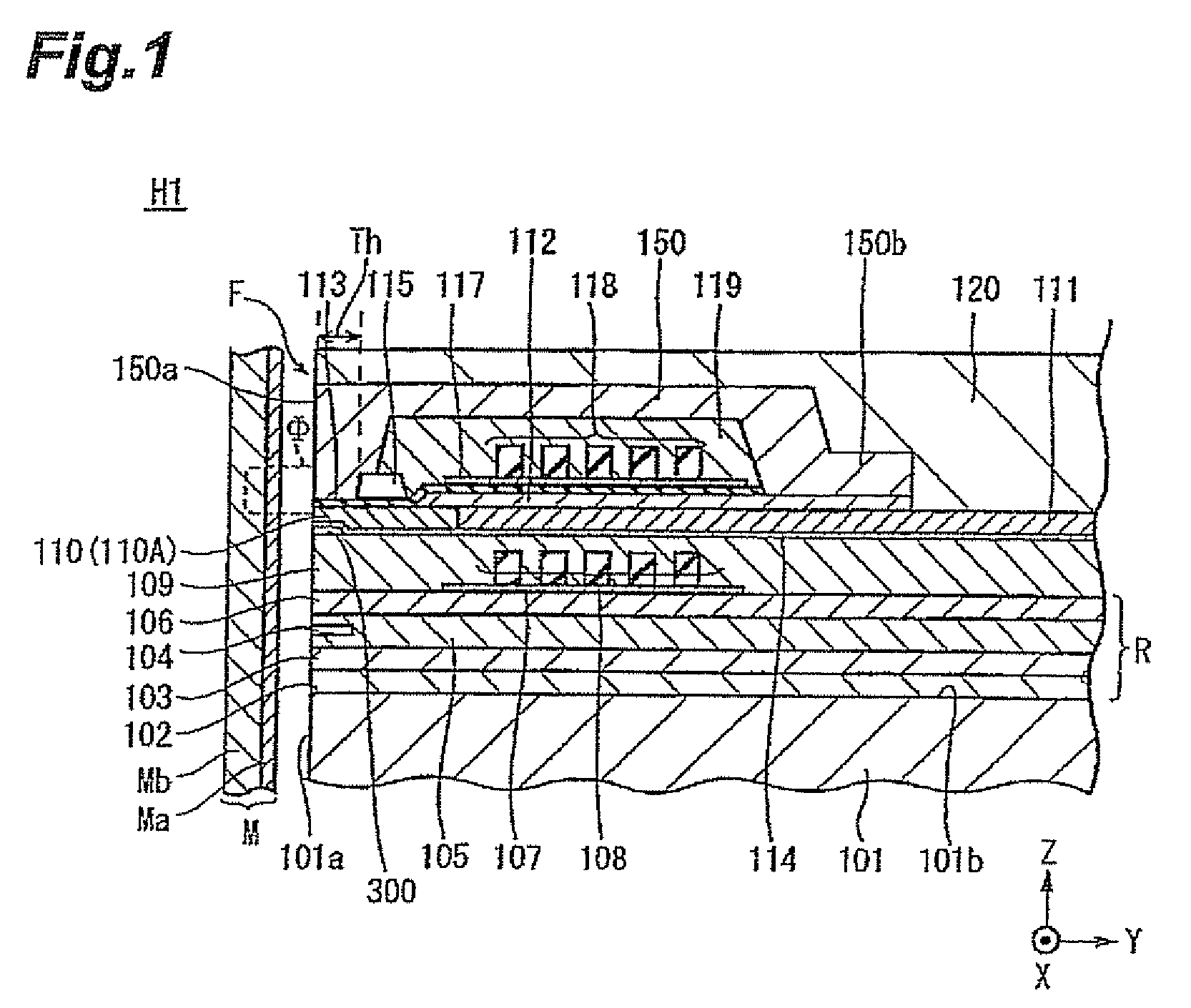 Perpendicular magnetic recording head with bottom shield layer