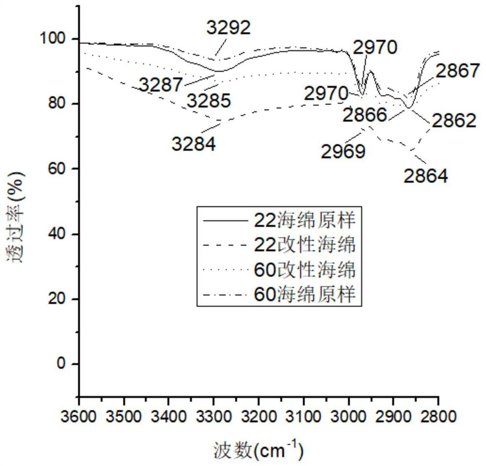 Method and device for preparing modified sponge with high amino content, and algae removal application