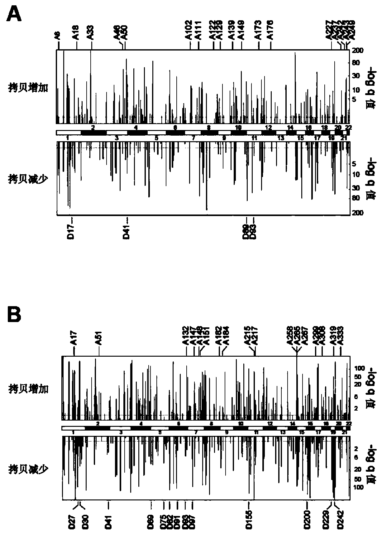 Common copy number variations in the human genome for risk assessment of cancer susceptibility