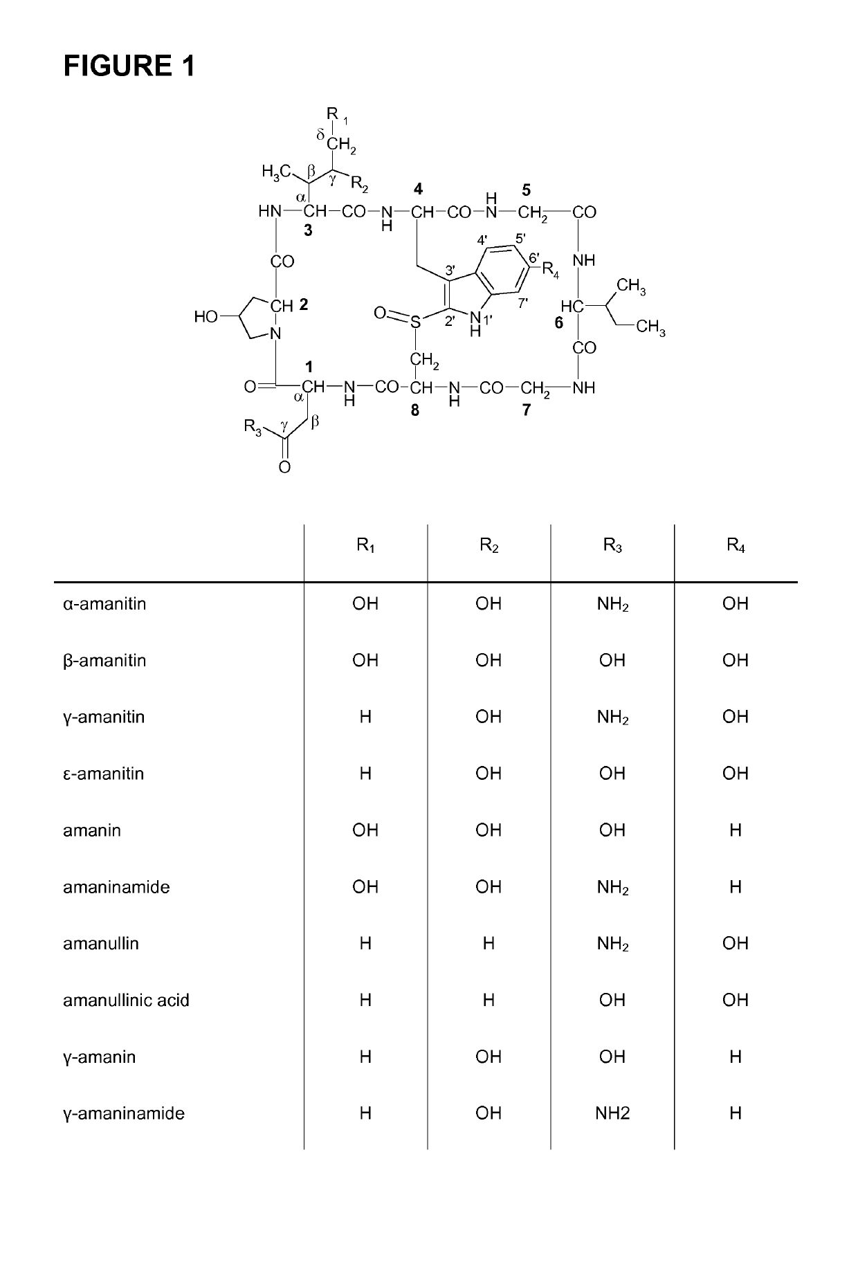 Amanitin antibody conjugates