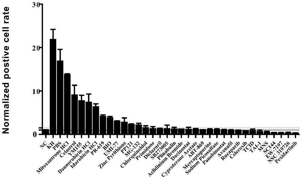 Application of UMI-77 as mitochondrial autophagy inducer to preparation of medicine for treating inflammation and neurodegenerative diseases