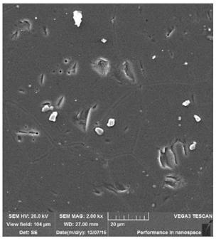 Ho-Doped transparent scandia ceramic and preparation method thereof