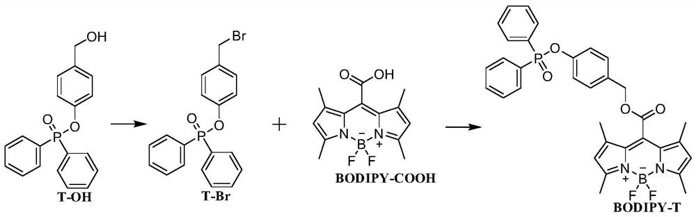 BODIPY fluorescent probe for specifically recognizing superoxide anions as well as preparation method and application thereof