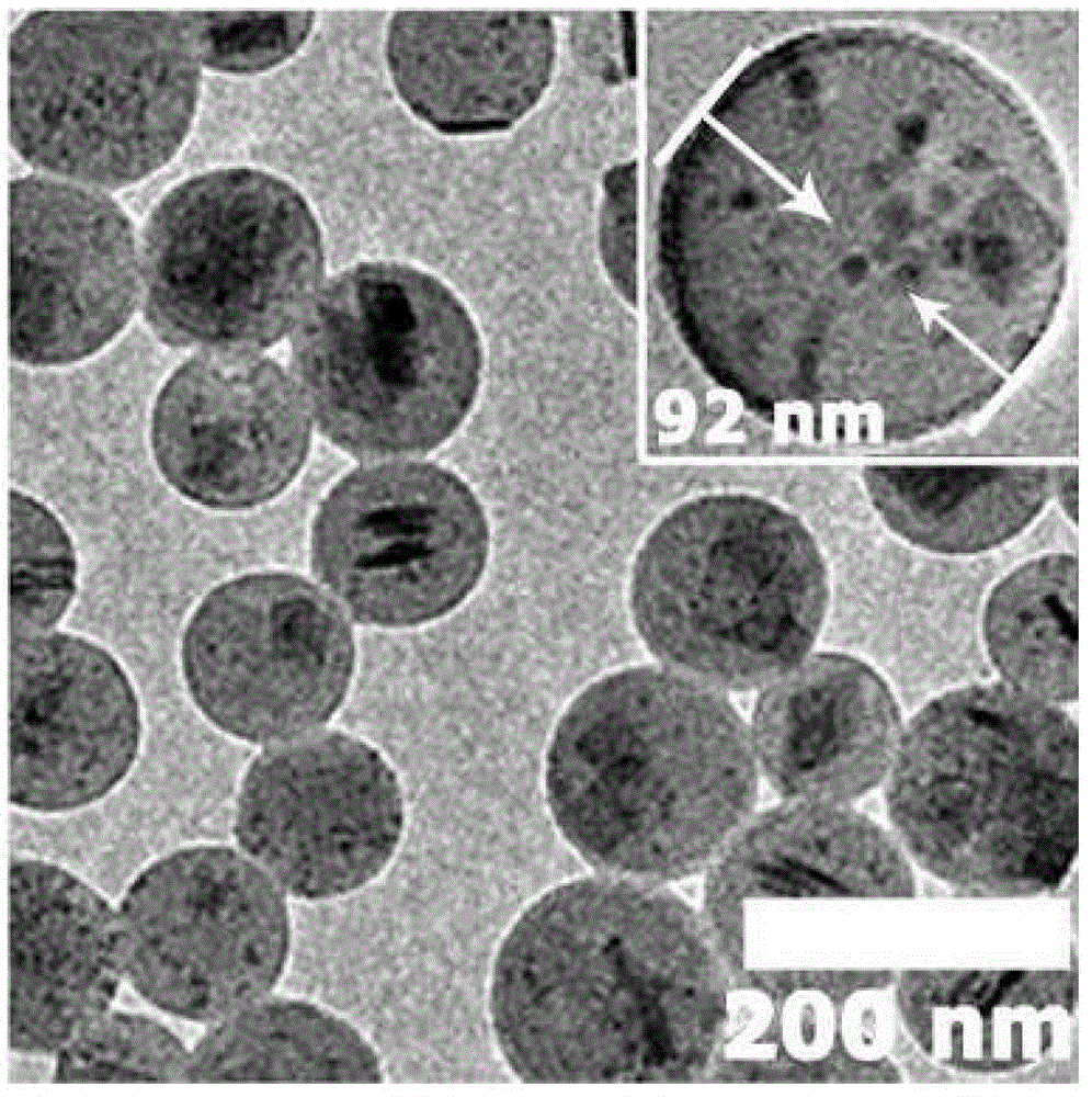 A kind of multifunctional molecularly imprinted nanosensor and its preparation method and application