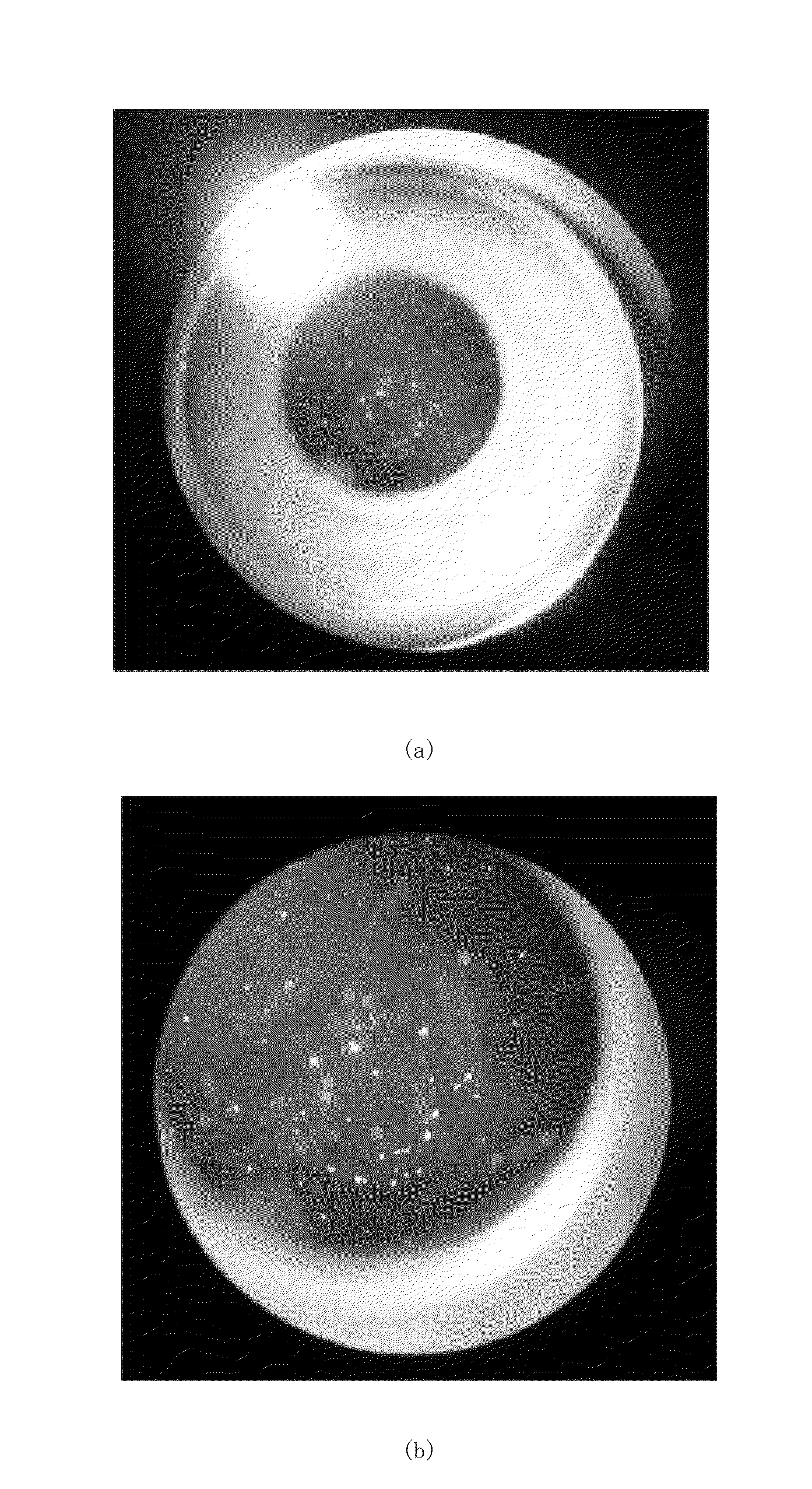 Optical glass, precision press-molding preform, optical element and their production processes as well as image-sensing device