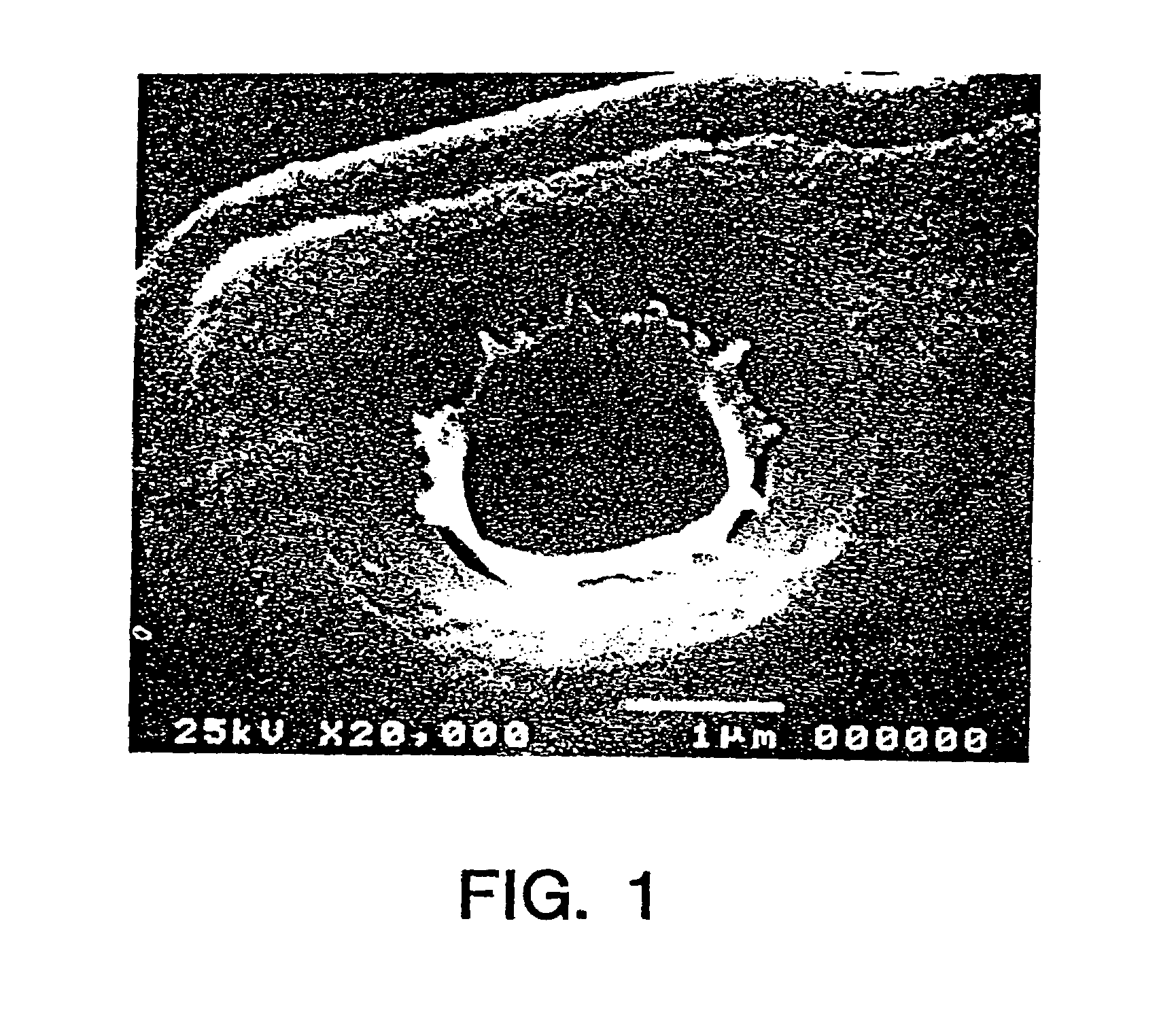 Cleaning solutions including nucleophilic amine compound having reduction and oxidation potentials