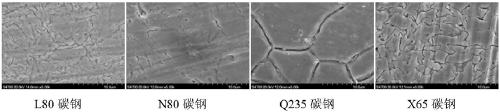 Electrochemical method for controlling activated dissolution of carbon steel grain boundary