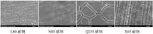 Electrochemical method for controlling activated dissolution of carbon steel grain boundary