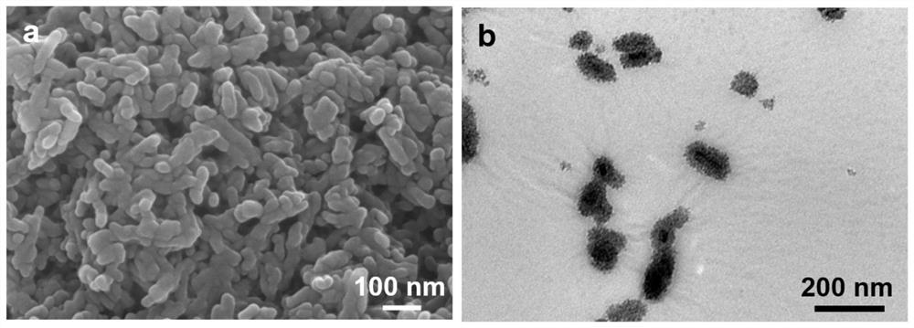 A kind of hydroxyapatite composite material with antibacterial function and its preparation method and application