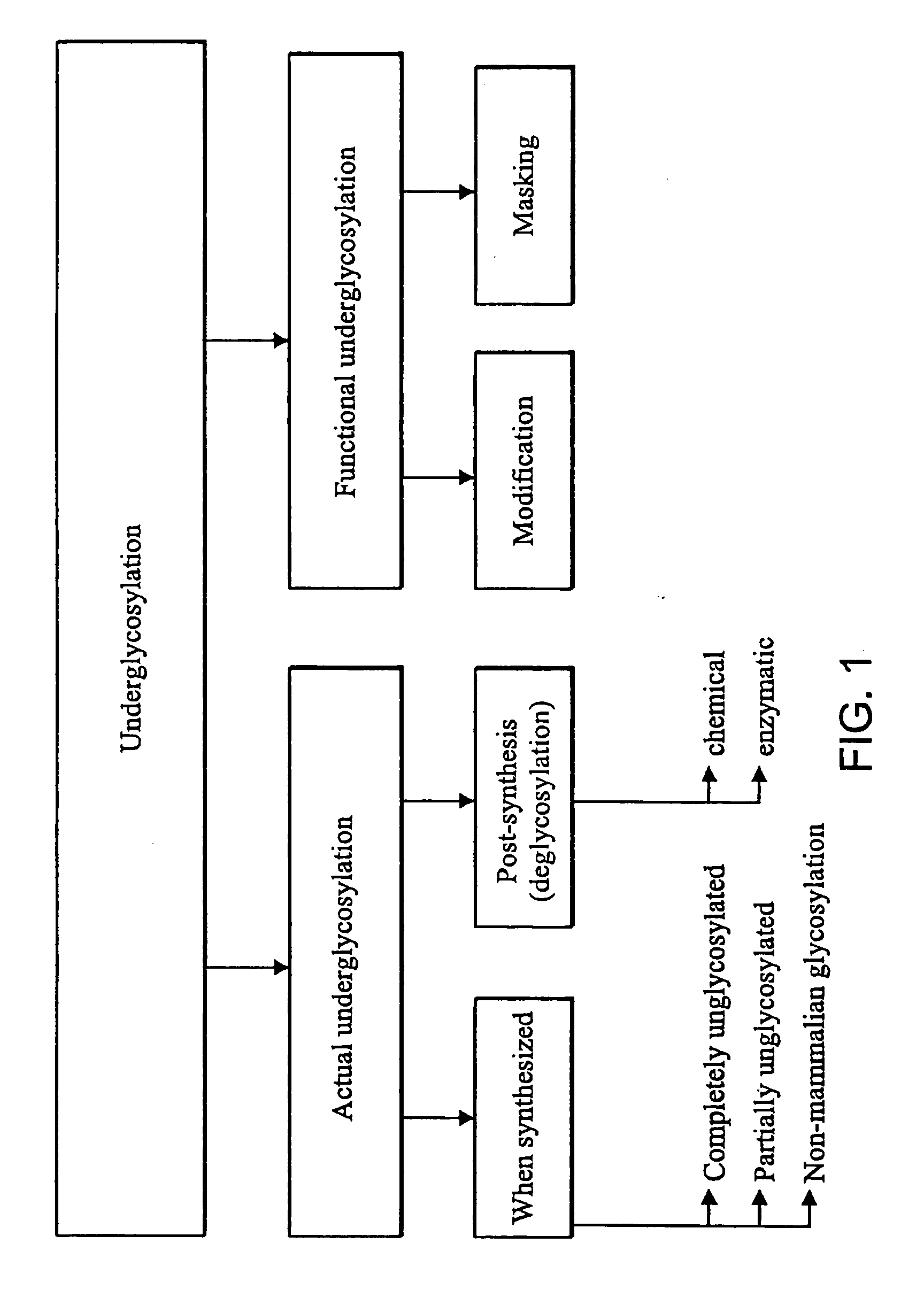 Method for targeting lysosomal enzymes