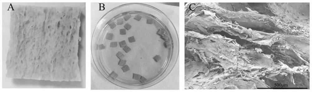 Method for preparing plant-based fat cultured meat