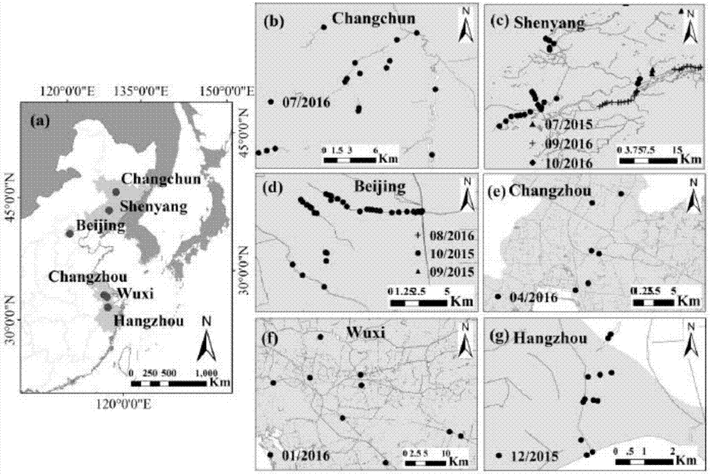 Spectral index model-based black and odorous water body identification method and system